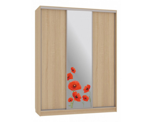 Шкаф-купе Бассо 1-600 маки