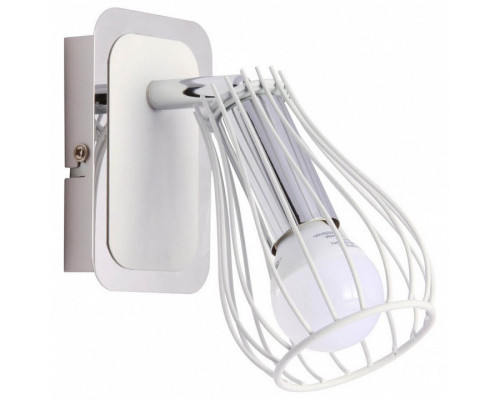 Спот Zumaline Oscar CK170519-1