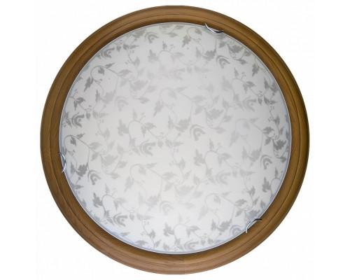 Накладной светильник TopLight Beatrice TL9280Y-00OA