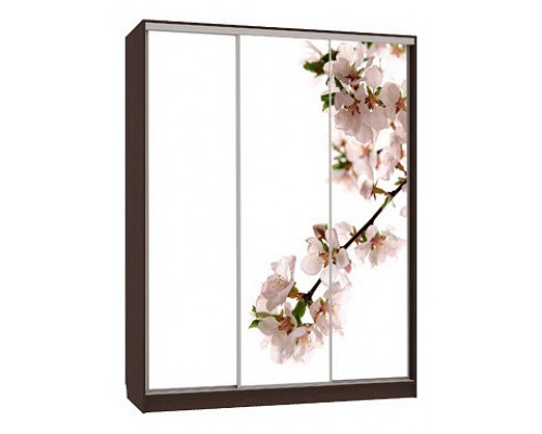 Шкаф-купе 7-600 яблоня