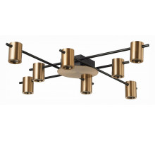 Потолочная люстра ST-Luce Veroli 