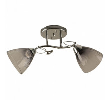 Накладной светильник Hiper Rosa H197-2