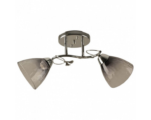 Накладной светильник Hiper Rosa H197-2