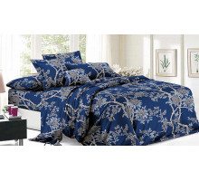 Постельное белье евростандарт Паола