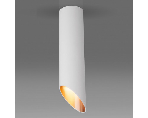 Накладной светильник Elektrostandard DLN115 a050121