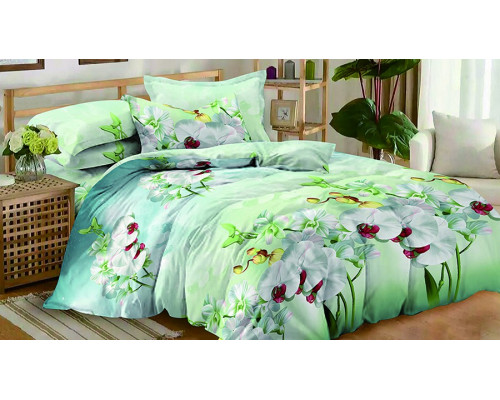 Постельное белье евростандарт Ран