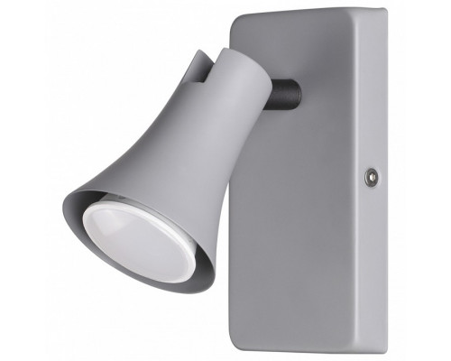 Спот Odeon Light Reanna 3825/1W