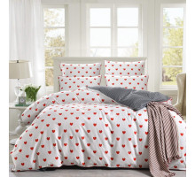 Постельное белье евростандарт Модерн №40