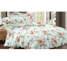 Постельное белье двуспальное Art Color 049-AC