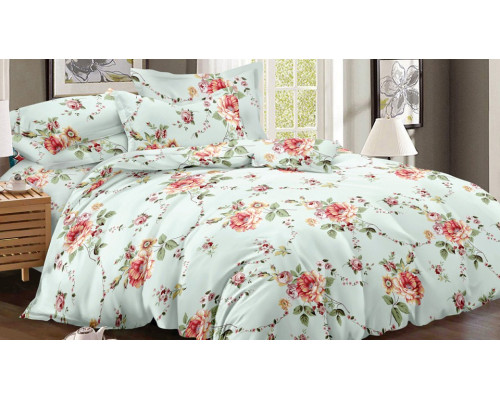 Постельное белье двуспальное Art Color 049-AC