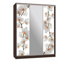 Шкаф-купе Бассо 10-600 83