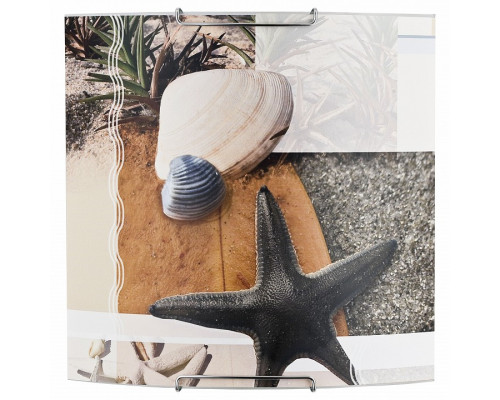 Накладной светильник Alfa Sheel 91387