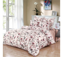 Постельное белье евростандарт Сандрес-Эйва