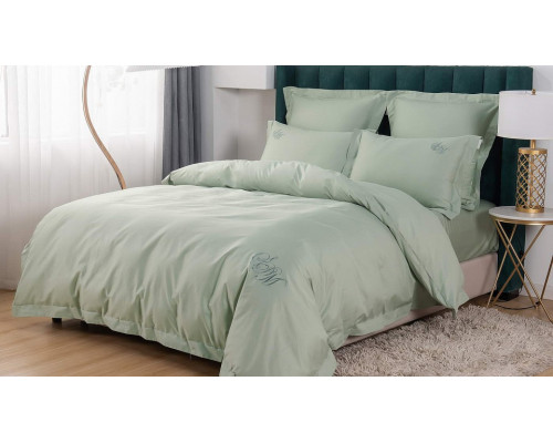 Постельное белье евростандарт Джонатан