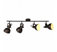 Спот Arte Lamp Martin A5215PL-4BR
