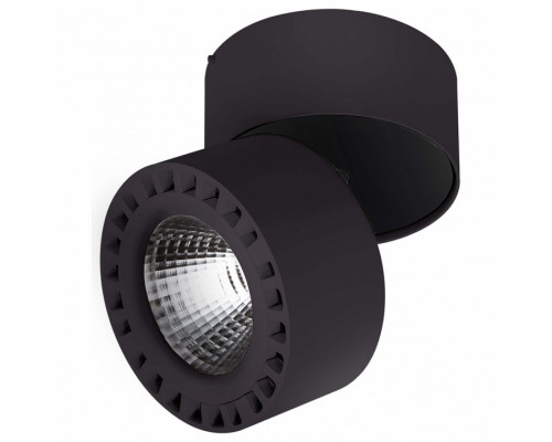 Светильник на штанге Lightstar Forte 381374