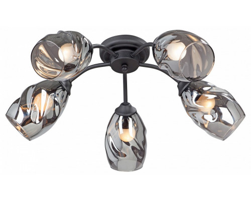 Потолочная люстра Vitaluce  V4936-1/5PL