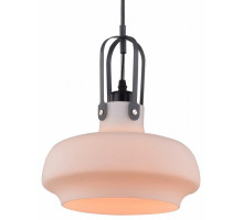 Подвесной светильник Arte Lamp Arno A3624SP-1WH