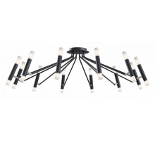 Потолочная люстра Maytoni Vigo MOD620CL-24B