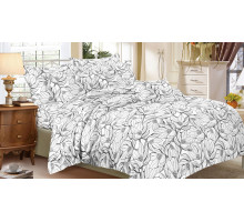 Постельное белье евростандарт Art Color 078-AC