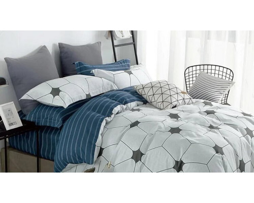 Постельное белье евростандарт №301 Champion