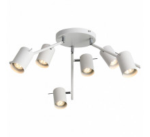 Потолочная люстра ST-Luce Fanale 