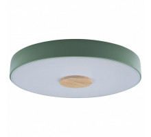 Накладной светильник Loft it Axel 2 10003/24 Green