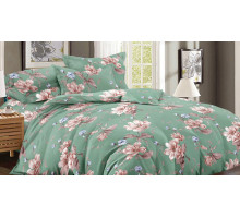 Постельное белье полутораспальное Art Color 045-AC