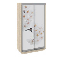 Шкаф-купе Румер СШК 1.120.60-25