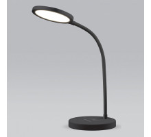 Настольная лампа офисная Elektrostandard Tiara a048743