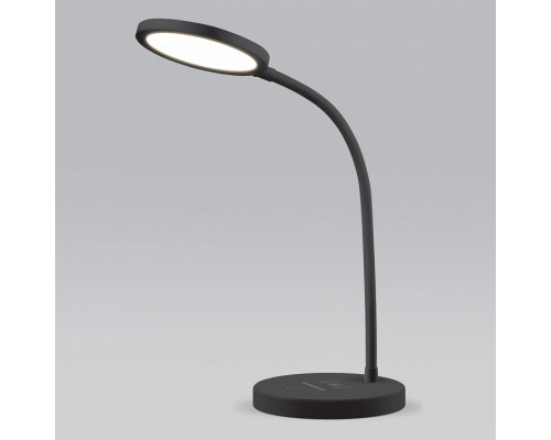 Настольная лампа офисная Elektrostandard Tiara a048743