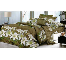 Постельное белье семейное Вальтери SF-58