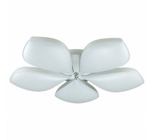 Накладной светильник Lumion Gabriella 3645/60CL