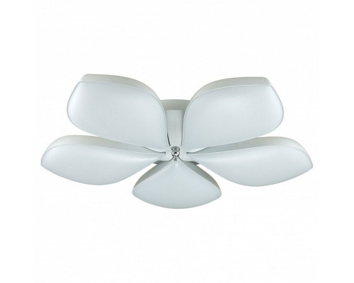 Накладной светильник Lumion Gabriella 3645/60CL