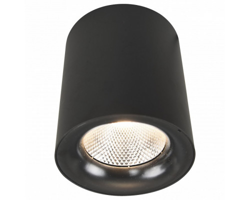 Накладной светильник Arte Lamp 5118 A5118PL-1BK