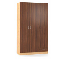 Шкаф платяной Рио ШР.059.1200-01