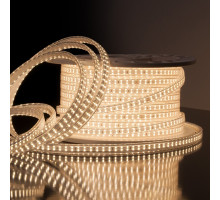 Лента светодиодная Elektrostandard LS011 a041110