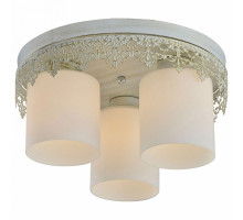 Потолочная люстра Lussole Norwalk 