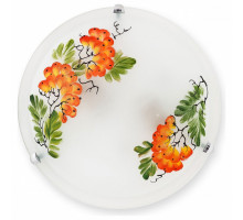 Накладной светильник TopLight Pirolf TL9351Y-02WH