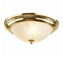 Накладной светильник Arte Lamp Alta A3013PL-2GO