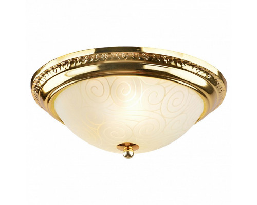 Накладной светильник Arte Lamp Alta A3013PL-2GO