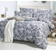 Постельное белье евростандарт A-169