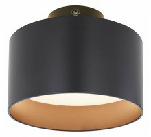 Накладной светильник Globo Jenny 12016B