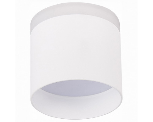 Накладной светильник ST-Luce Panaggio