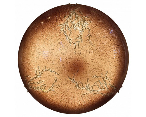 Накладной светильник Lussole Orvieto