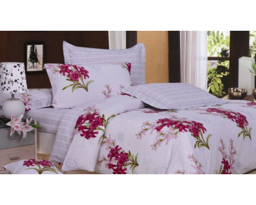 Постельное белье евростандарт C-61