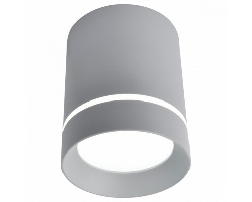 Накладной светильник Arte Lamp 1909 A1909PL-1GY