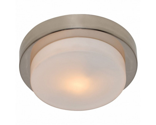 Накладной светильник Arte Lamp Aqua A8510PL-1SS