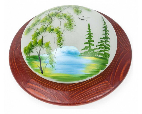 Накладной светильник TopLight Witaec TL9470Y-01OA