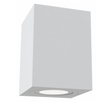 Накладной светильник Maytoni Alfa C017CL-01W